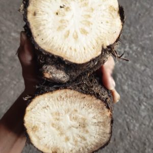 এটো/গোড়ার চুইঝাল  ১ কেজি