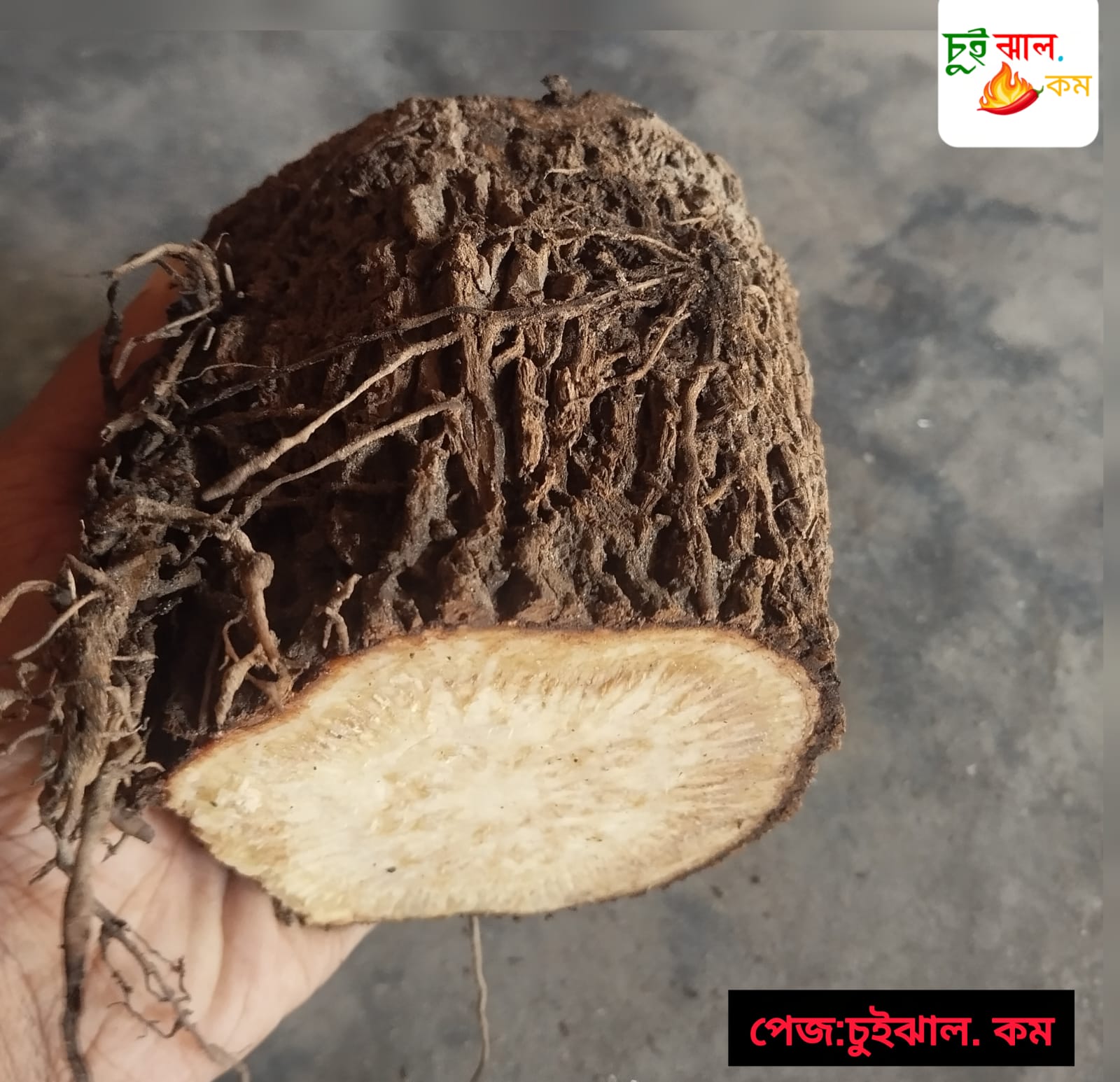 WhatsApp Image 2025-11-11 at 1.10.59 AM