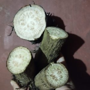 মিক্স চুইঝাল (গাছ + এটো)  ১ কেজি